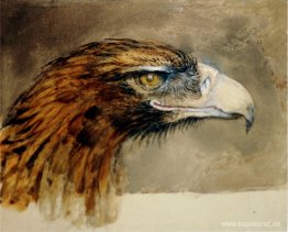 Örnens huvud från livet