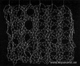 Reticularia