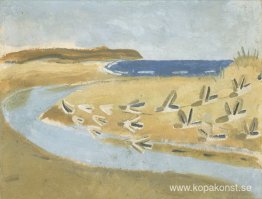 Sandsnäppor, Alnmouth