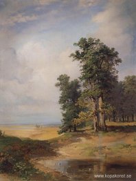 Sommarlandskap med ekar