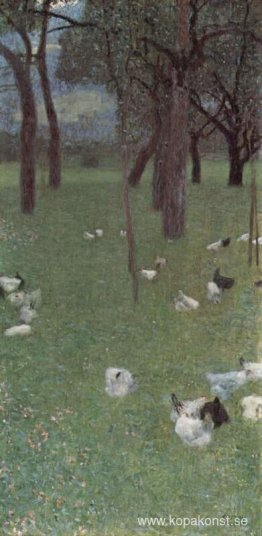 Efter regnet (trädgård med kycklingar i St. Agatha)