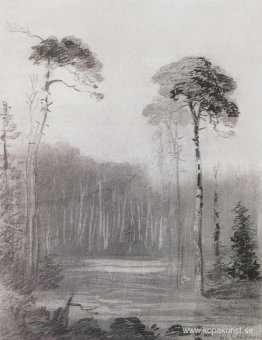 Landskap