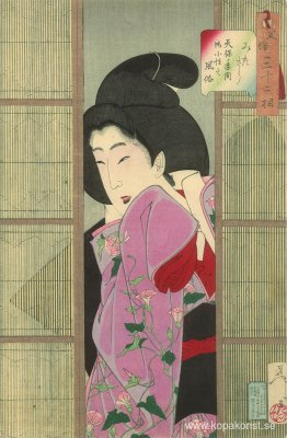 Ser nyfiken ut - Fuzoku Sanjuniso