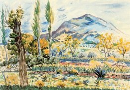 Fique Landskap