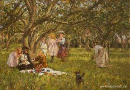 Picknicken