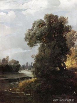 Sommardag