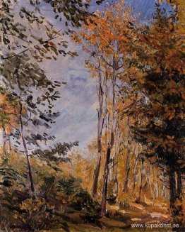 Höstskog