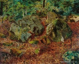 En mossig Glen