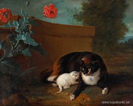 Katt och kattunge, och hund och papegoja