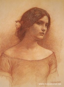 Studera för "The Lady Clare"