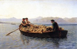 Ändra betesmarker
