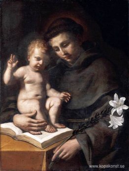 Sankt Antonius av Padua med spädbarnet Kristus