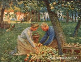 Fruktträdgård i Flandern