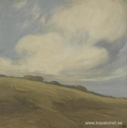 Moln över en sluttning i Kalifornien