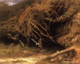 Skog med ankor och grodor