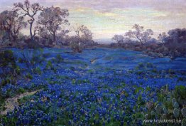 Bluebonnets vid Twilight, nära San Antonio