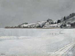 Grått vinterlandskap nära Mannenbach