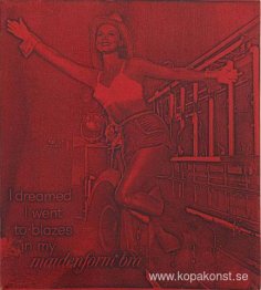 Jag drömde att jag gick i brand i min Maidenform BH (röd)