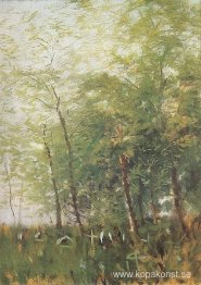 Kanten av en skog med kors