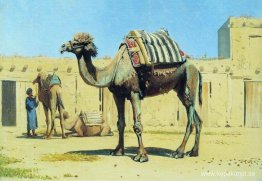 Kamel på gården av caravanserai