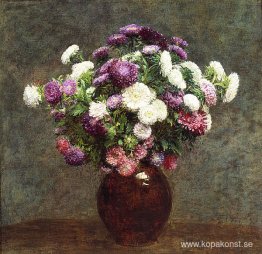 Asters i en vas