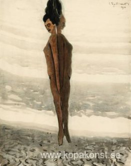 Elevation