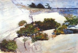 Maine klippor