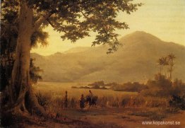 Antilianskt landskap, St. Thomas
