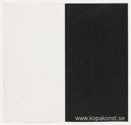 Vitt och svart