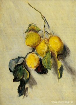 En gren av citroner