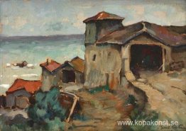 Mangalia hus
