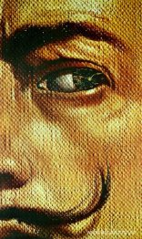 Makrofotografiskt självporträtt med galans utseende