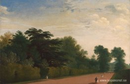 Kensington Gardens