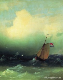 Storm på havet