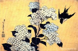 Hortensia och svälj