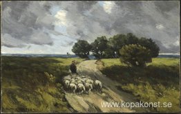 Valda får