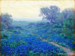 Bluebonnets vid soluppgången