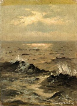 Havslandskap