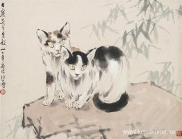 Cats on Rock