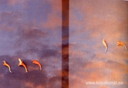 Namnlös (35 mm genomskinlighet)