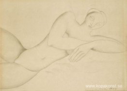 Naken ljuger