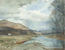 Gala av Whitelea