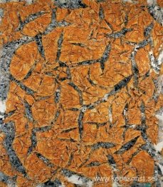 Mariale, MD 4, serie le manteau de la Vierge