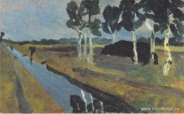 Grått landskap med kärrkanal
