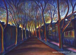 Sycamores, Timon Street