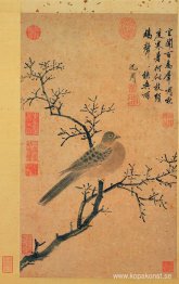 Turtleduva kallar på regn