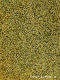 Sentinels of the Field