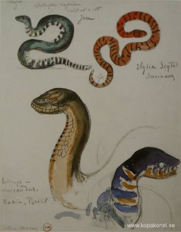 Fyra studier av ormar