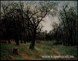 Lövlös skog