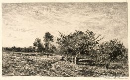 Äppelträd i Auvers